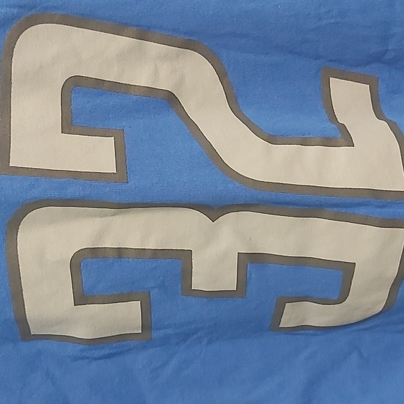 D. SWIFT LIONS Official NFL T Shirt - Picture 5 of 10